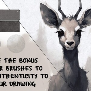 May include: A black and white digital illustration of a deer with large ears and antlers. The text "USE THE BONUS PAPER BRUSHES TO ADD AUTHENTICITY TO YOUR DRAWING" is written in black on a white background.
