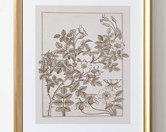 Antique Botanical Print: Vintage Floral Illustration (Digital Download