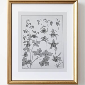 Vintage Botanical Print: Antique Cottagecore Art (Digital Download)