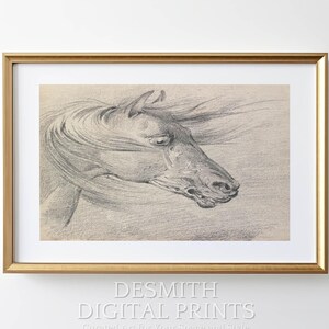 Arte ecuestre, dibujo a carboncillo, decoración de pared impactante (descarga digital)