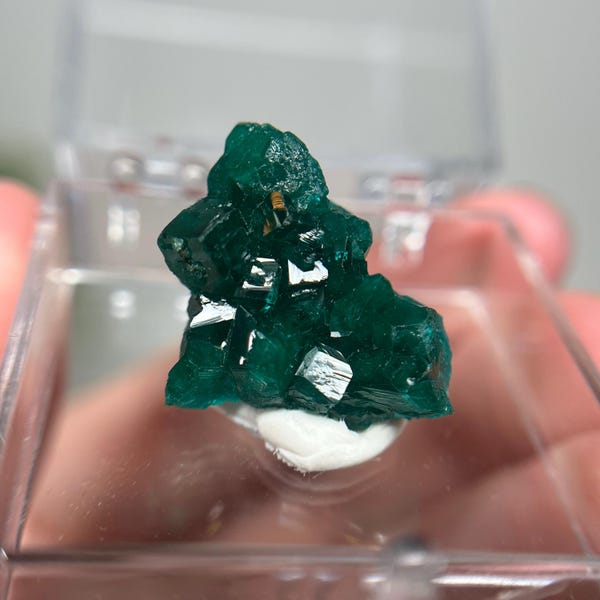 Natural gemmy dioptase crystal specimen from Congo in plastic perky box (you will receive this exact crystal listed)