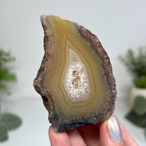 May include: A polished agate geode slice with concentric bands of tan, cream, and brown. The centre features a crystalline cavity. The outer edge has a rough, dark brown texture. The geode is held by a person.
