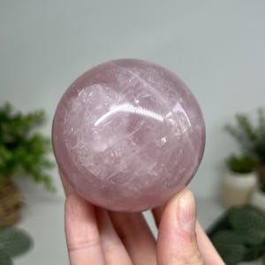 May include: A polished rose quartz sphere, held in a hand. The sphere is a soft pink color with internal crystalline structures visible. The smooth surface reflects light, creating highlights. The background is blurred, with hints of greenery.