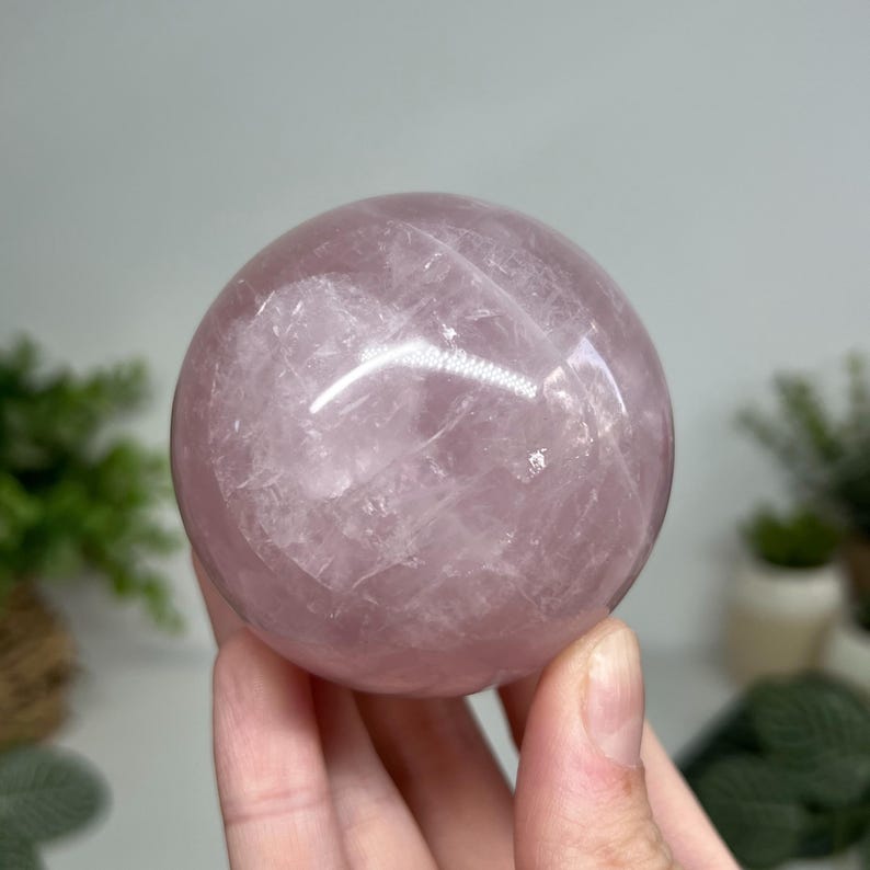 May include: A polished rose quartz sphere, held in a hand. The sphere is a soft pink color with internal crystalline structures visible. The smooth surface reflects light, creating highlights. The background is blurred, with hints of greenery.