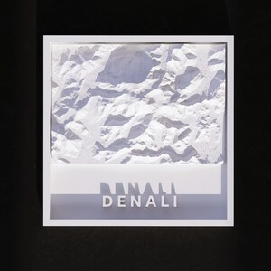 May include: A square white framed wall art piece featuring a three-dimensional topographic relief map of a mountain range. The white surface displays intricate peaks and valleys with shadows. Below the map, the word DENALI is printed in white.