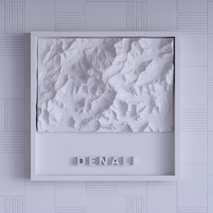 May include: A white framed relief map of Denali, showing a textured, three-dimensional representation of the mountain's terrain. The word "DENALI" is spelled out in individual white letters below the map.