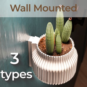 Puede incluir: Maceta blanca de pared con tres plantas verdes rayadas. La maceta tiene un diseño acanalado y dice "Wall Mounted" y "3 types" en texto marrón.