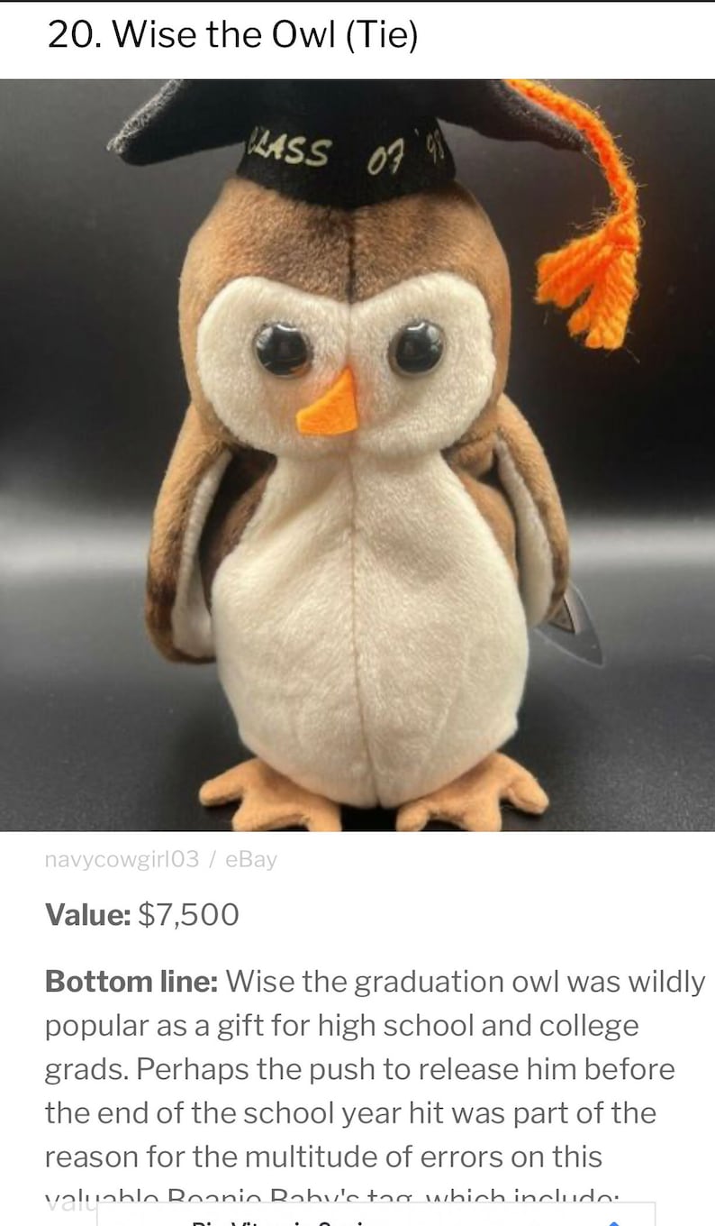 Wise the graduation owl, beanie baby image 1