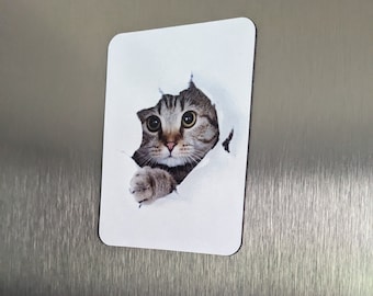 Peek A Boo Cat Magnet