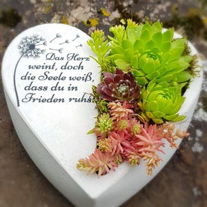 Bepflanztes Herz aus Beton mit Schriftzug Grabschmuck Trauer Grabgesteck Grabherz