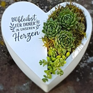 Könnte beinhalten: Ein weißer herzförmiger Pflanztopf mit dem schwarzen Schriftzug "DU bleibst FÜR IMMER IN UNSEREN Herzen" und dekorativen Blatt- sowie Blumenmotiven. Der Topf ist mit grünen Sukkulenten und braunem Moos bepflanzt, was ein natürliches Arrangement ergibt.