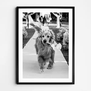 Uroczy pies na weselnej ścianie sztuki, czarno-biały wydruk, pies trzymający kwiat plakat, wydruk ślubny, zabawny pies plakat vintage, retro wystrój ślubu