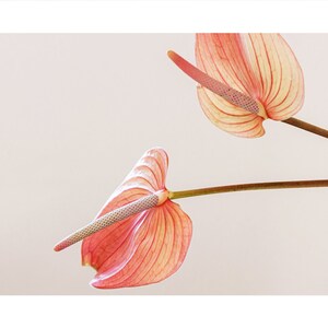 Neutral minimalist floral calendar