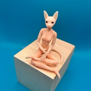 Katzenmädchenpuppe mit Pfoten, Katzenmädchen mit Pfoten, BJD Größe 1/12, Miniaturpuppe 1/12 Puppenhaus, Gelenkpuppe 1/24, 1/12, 1/8, 1/6, 1/4