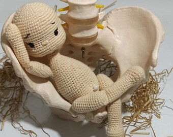 Plush Model Baby and Placenta for Midwives and Doula