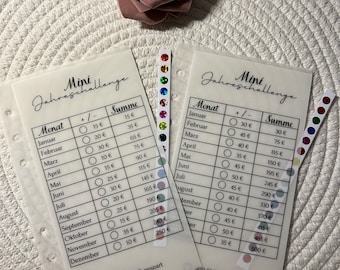 Mini Annual Challenge Money Envelopes | A6 | frosty design | budget | transparent envelopes | envelopes without zipper | envelopes / gift /