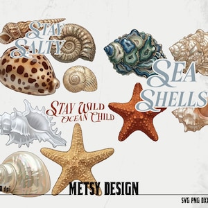 貝殻のPDFデジタルダウンロード、Stay Salty、ビーチの日のデザイン夏のベクターpng、3つの夏のデザイン、Stay Wıld Ocean Chıld ai、デジタル300 dpi