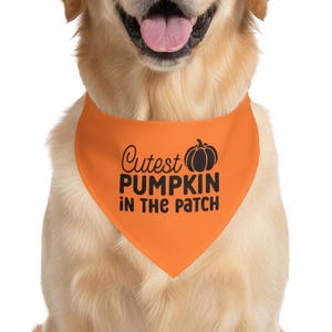 Bandana de Halloween para perro, la calabaza más linda del huerto, bandana de calabaza para perro, bandana de calabaza para perro, regalo para amantes de los perros