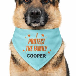Bandana para perros y gatos Protect the Family
