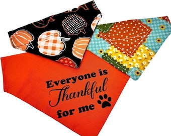 Hösthundbandana, pumpahundbandana, pumpalappshalsduk för hund, hösthalsduk över kragen, personlig Thanksgiving-hundbandana
