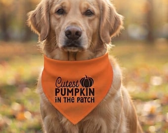 Höst Halloween hundbandana, sötaste pumpan i fältet hundbandana, pumpahundbandana, pumpafält hundbandana, present till hundälskare