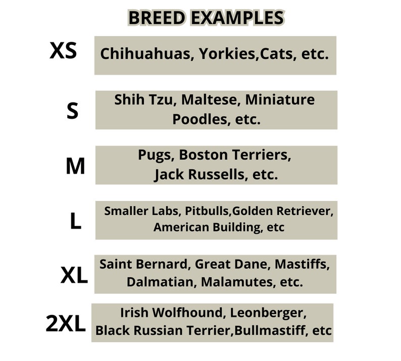 Op de afbeelding: Een tabel met de titel "RASVOORBEELDEN" toont hondenrassen per maat: XS (Chihuahuas, Yorkies), S (Shih Tzu, Maltezer), M (Mopshonden, Boston Terriers), L (Kleine Labs, Pitbulls), XL (Sint-Bernard, Deense Dog) en 2XL (Ierse Wolfshond).