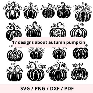 Autumn pumpkin SVG, fall Cut File, citrouille Clipart, decoration automne svg, feuille cameo, Halloween cricut