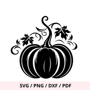 Autumn pumpkin SVG, fall Cut File, citrouille Clipart, decoration automne svg, feuille cameo, Halloween cricut