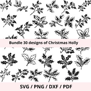 Dessin numérique houx clip art SVG, silhouette branche de houx fichier découpe, Décoration Noël DIY, fichier digital imprimable cricut,