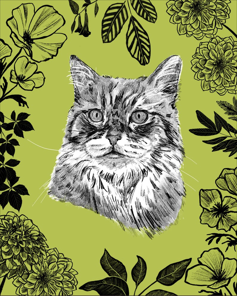 May include: A grayscale illustration of a cat's face, centered on a lime green background. The cat has detailed fur and expressive eyes. Black and white floral and leaf elements frame the cat, creating a decorative border.