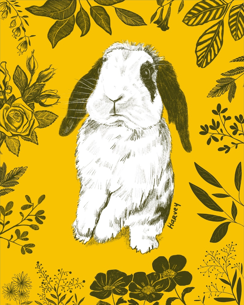 May include: A digital illustration of a white and black rabbit with long ears, set against a yellow background. The rabbit is surrounded by dark green floral and leaf elements. The artist's signature, "Harvey," is visible on the lower right.
