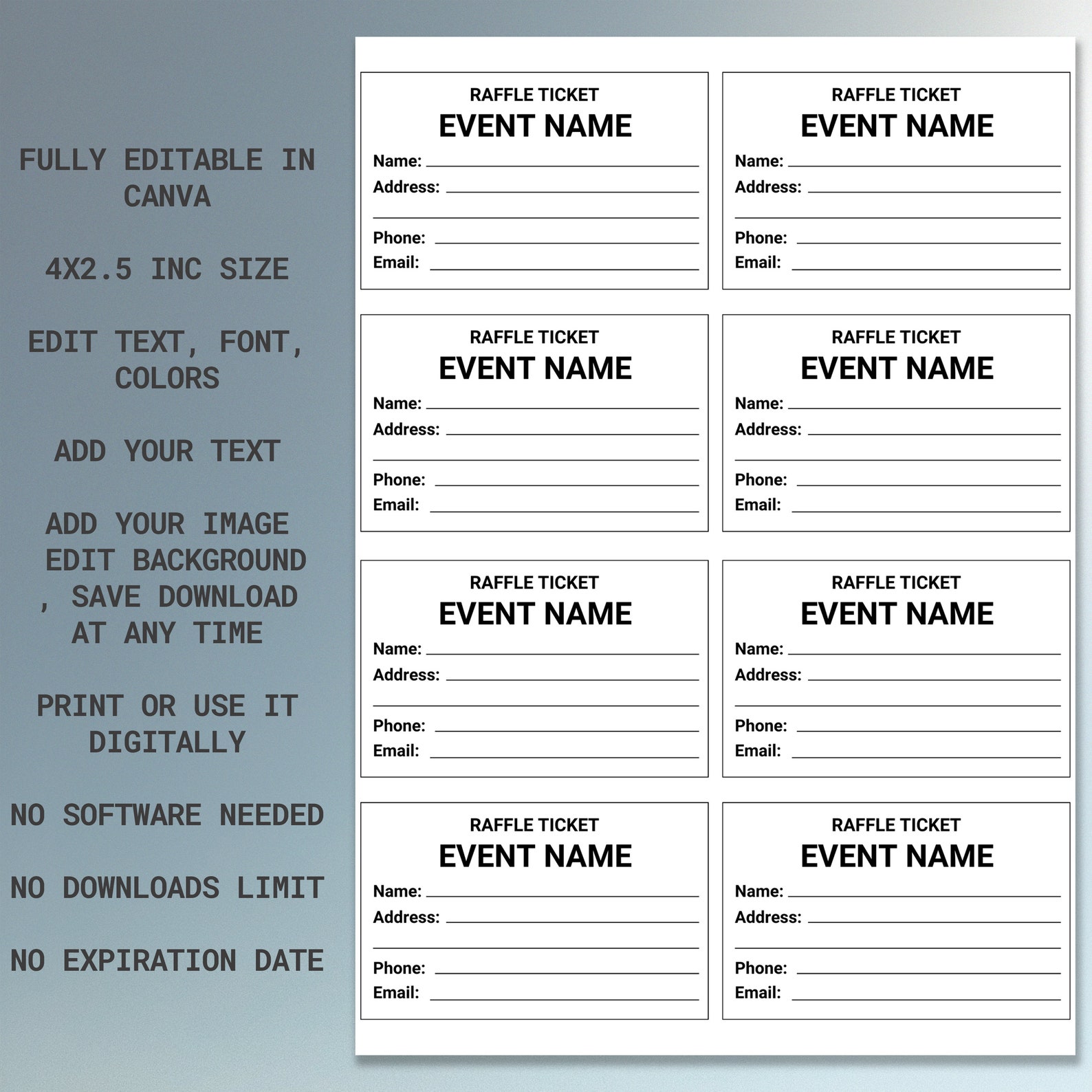 Editable Raffle Ticket Template Printable Raffle Ticket Surprise