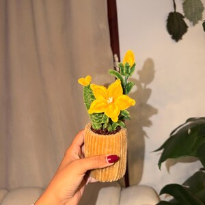 Può includere: Un piccolo cactus artigianale realizzato con scovolini verdi, caratterizzato da un fiore in tessuto giallo brillante con il centro bianco. Il cactus è inserito in un contenitore cilindrico in tessuto color cuoio, a coste e testurizzato.