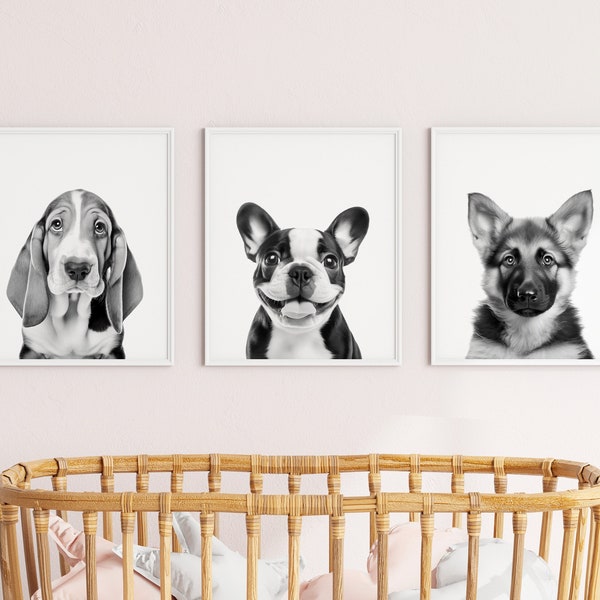 Dog Photo Nursery Theme Decor, Dog Breeds photography pictures for baby boy girl room decoration, Digital Downloadable, Printable Sketches