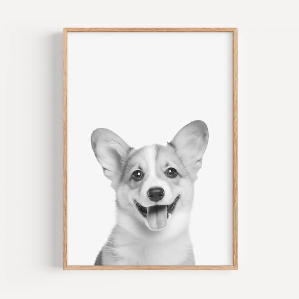 Corgi  Black and White Photo Wall Art Home Decor, Dog Breeds Poster decoration, Puppy nursery printable, BW Corgi portrait photography