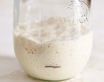 30+ Year Mature Whole Wheat Sourdough Starter