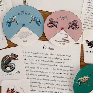 Reptiles Unit Study, homeschool, learning resource, printable, nature science study, pdf instant digital download 147 Page PDF!