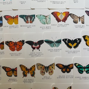 Butterfly and Moth Species Flashcards, homeschool, leermiddel, afdrukbaar, natuurwetenschappelijke studie, pdf instant digitale download