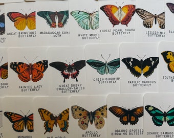 Tarjetas didácticas de especies de mariposas y polillas, educación en el hogar, recursos de aprendizaje, imprimibles, estudio de ciencias de la naturaleza, descarga digital instantánea en pdf