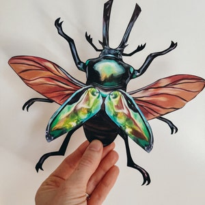 Regenbogen Hirschkäfer Papier Taxidermy, Hauptschule, Lernressource, druckbar, naturwissenschaftliches Studium, Pdf sofortiger digitaler Download