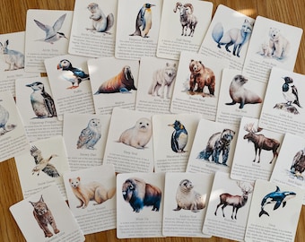 Polar Animal Flashcards, Arktyka i Antarktyka, edukacja domowa, zasób edukacyjny, do druku, nauka o przyrodzie, natychmiastowe pobieranie plików PDF w formacie cyfrowym