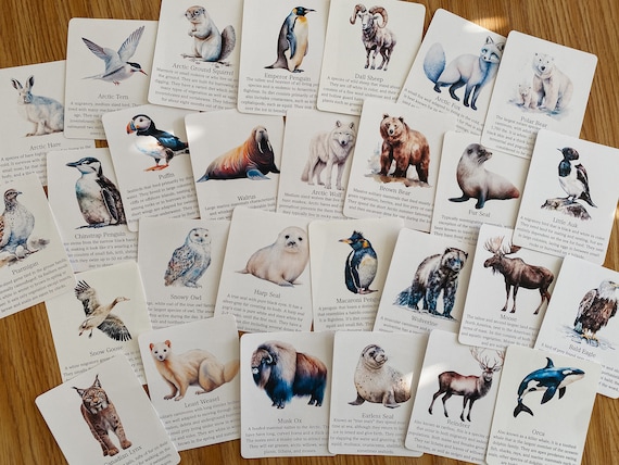 Polar Animal Flashcards, Arctic and Antarctic, homeschool, learning resource, printable, nature science study, pdf instant digital download