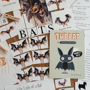 Bat Einheit Studie, 86 Seite PDF, Morgenkorb, Hausschule, Lernressource, printable, naturwissenschaftliche Studie, sofortiger digitaler Download