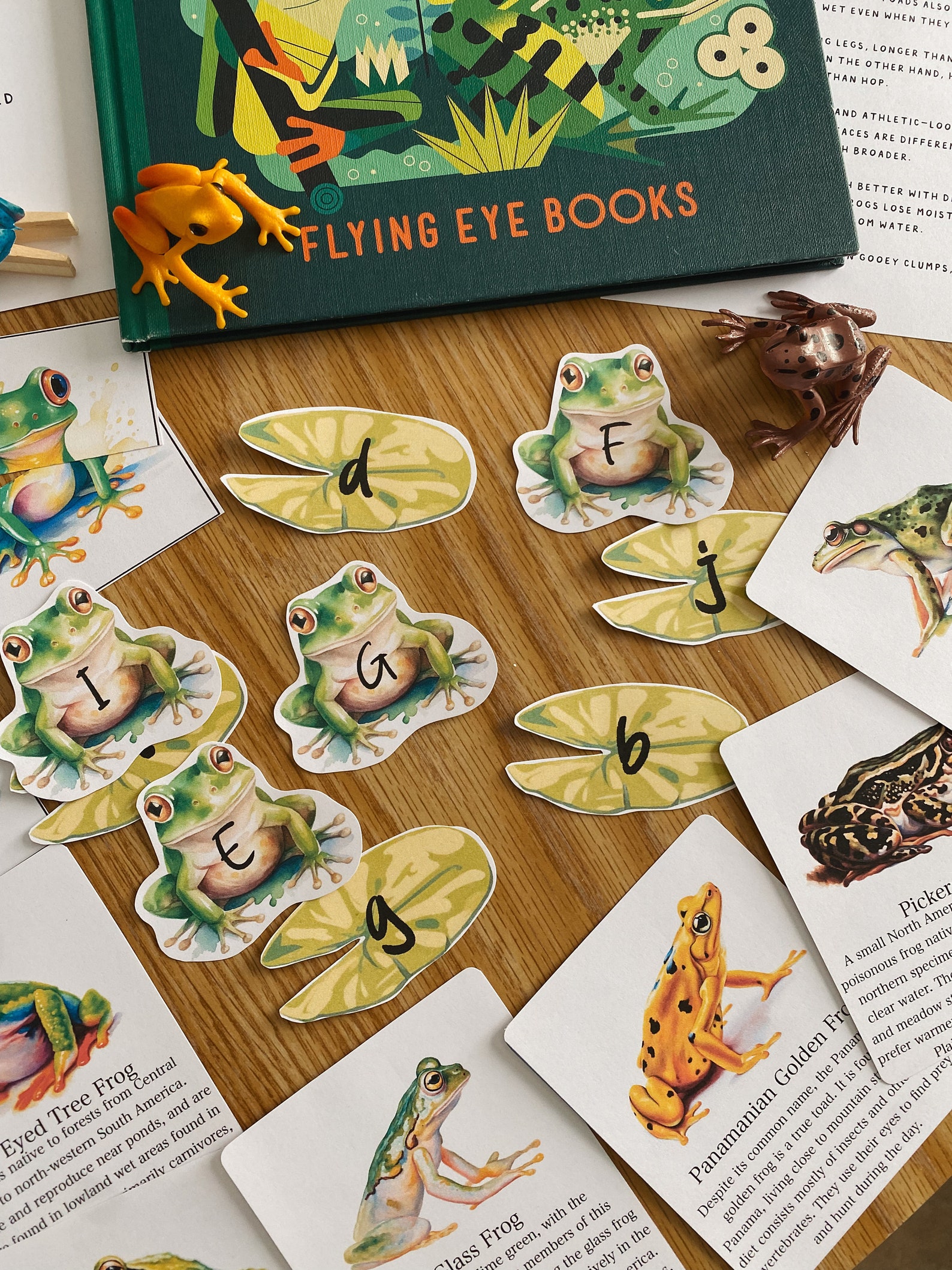 Frog Unit Study, 62 Page PDF, Amphibians, Homeschool, Learning Resource ...