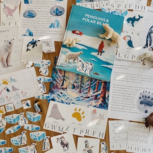 Studio dell&#39;unità polare, PDF da 74 pagine, Artico e Antartide, istruzione parentale, risorsa di apprendimento, stampabile, studio delle scienze della natura, download digitale