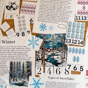 Peut inclure: Des cartes &eacute;ducatives sur l'hiver et les flocons de neige sont dispos&eacute;es sur une surface en bois. Les cartes pr&eacute;sentent des illustrations de flocons de neige, de sc&egrave;nes d'hiver et du texte d&eacute;crivant la formation de la neige et les types de flocons de neige.