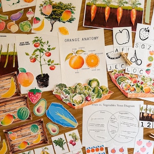 Puede incluir: Una colección de tarjetas ilustradas y materiales educativos sobre frutas y verduras. Incluye imágenes de naranjas, zanahorias, tomates y diagramas. También hay cajas de madera y una cesta tejida, junto con tarjetas numéricas y un diagrama de Venn.
