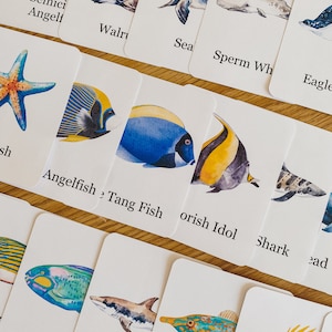 海洋動物フラッシュカード、モーニングバスケット、ホームスクール、学習リソース、印刷可能、自然科学研究、即時デジタルダウンロード