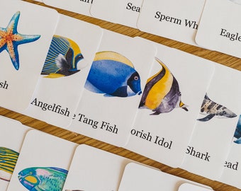 Ocean Animal Flashcards, morning basket, homeschool, learning resource, printable, nature science study, instant digital download