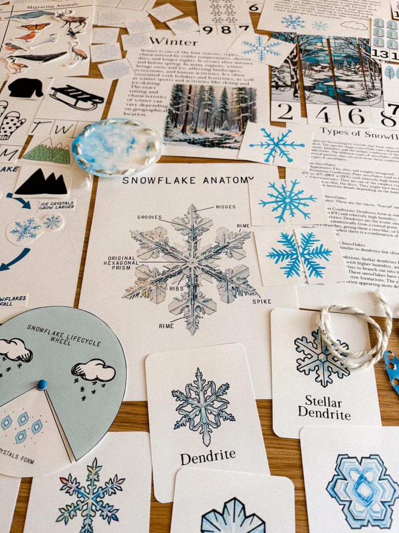 Peut inclure: Ensemble de mat&eacute;riel p&eacute;dagogique sur les flocons de neige, comprenant des diagrammes, des illustrations et du texte. Les images pr&eacute;sentent l'anatomie des flocons de neige, les types de flocons et une roue du cycle de vie des flocons.